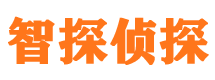 河北区侦探公司